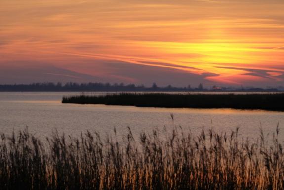 Enjoy Meer Und See Ferienhaus -In Lauwersoog- 1-6 Pers- 3 Schlafzimmer- Fruehes Einchecken Ab 14 Uhr Exterior foto